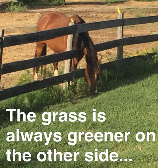 I'm deep and philosophical and a horse and hashtag #green. And horses.