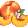 The dumb answer is obviously that peaches are peach colored. Yeah. no doy. And the snozzberries taste like snozzberries. Cool. Whatever. Now riddle me this*, you slags: Are peaches orange […]